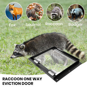Fangkeji suitable for raccoons, cats, and small animals