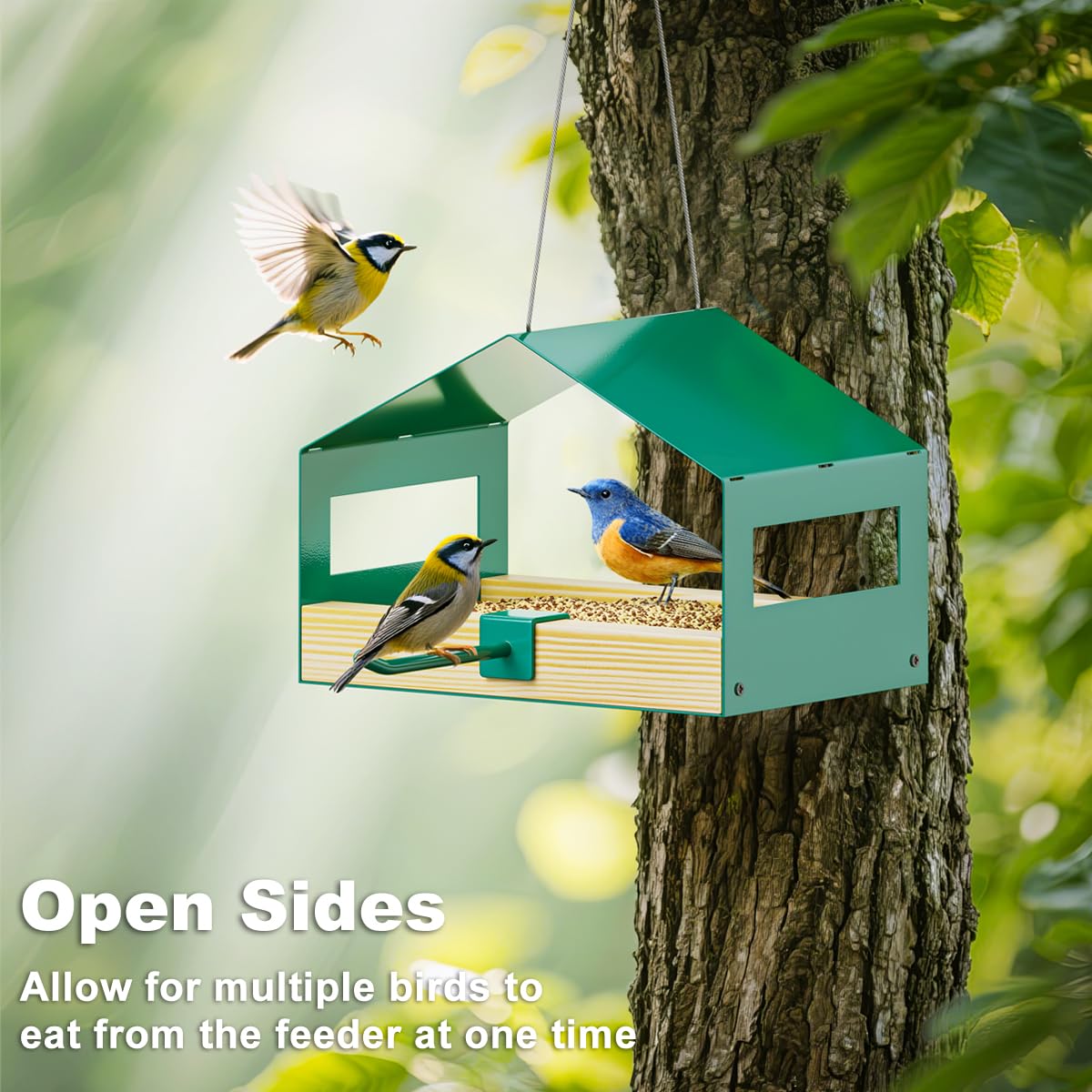 FANHAO bird feeder stainless steel mesh tray enabling drainage and fresh seeds.