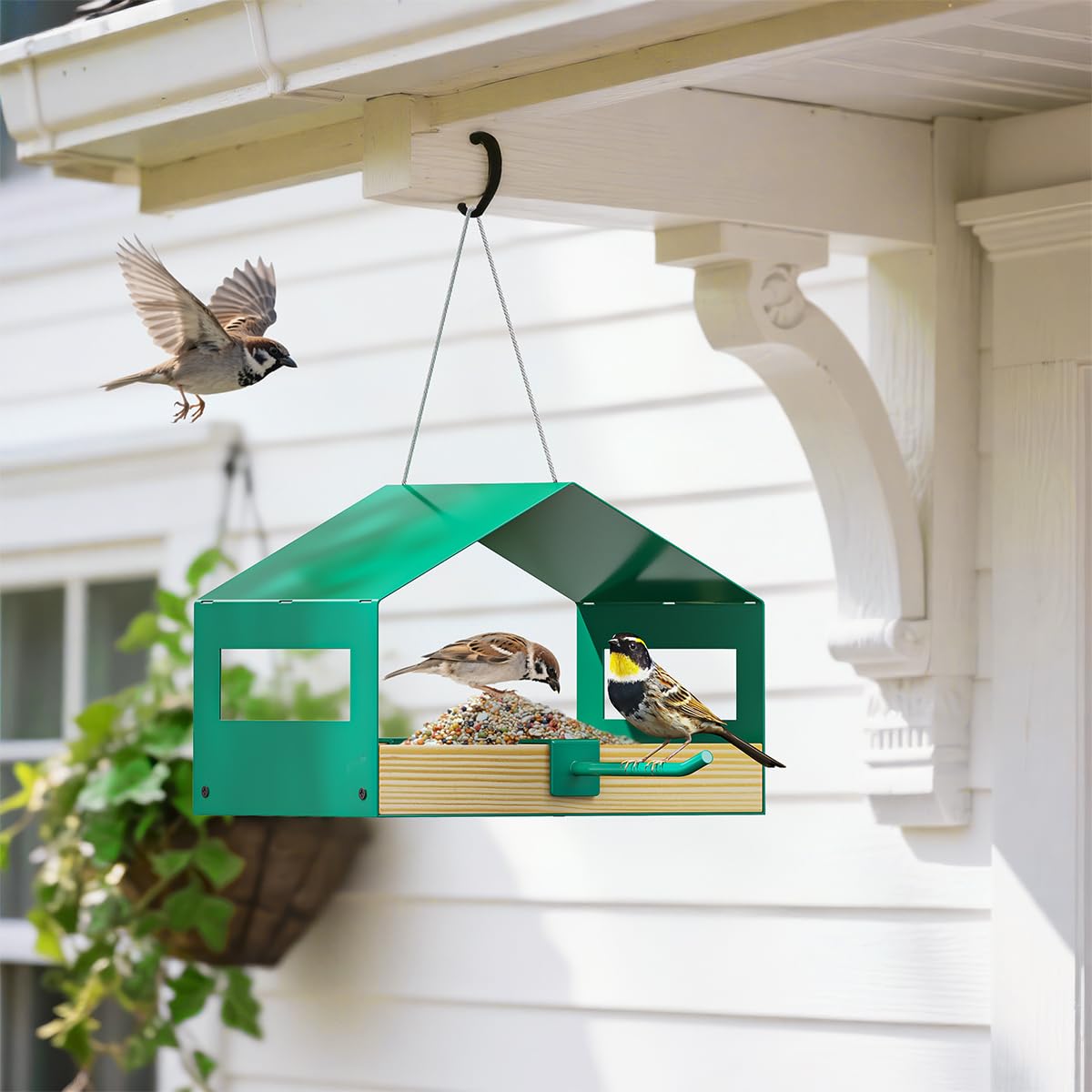 FANHAO weatherproof metal feeder withstands rain and sun.