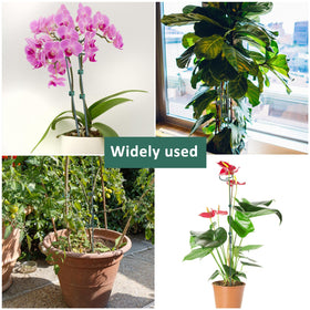 Fantang 16.5 ft plant ties included for flexible securing.
