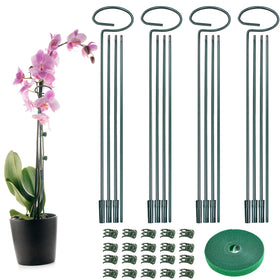 Fantang four-set metal plant sticks assembled for tall indoor plant support and stability.