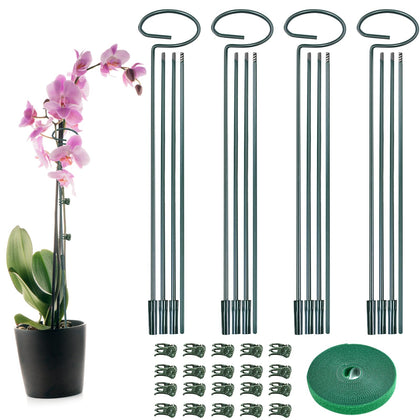 Fantang four-set metal plant sticks assembled for tall indoor plant support and stability.