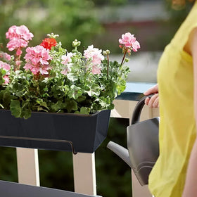 Fantang bird-nesting prevention liner deters birds from nesting in planters.