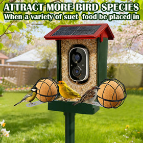 Fantang durable metal cage resists rust and squirrel interference.