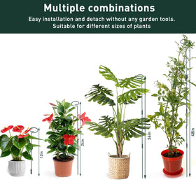 Fantang indoor-outdoor plant support suitable for roses, tomatoes, and lilies.