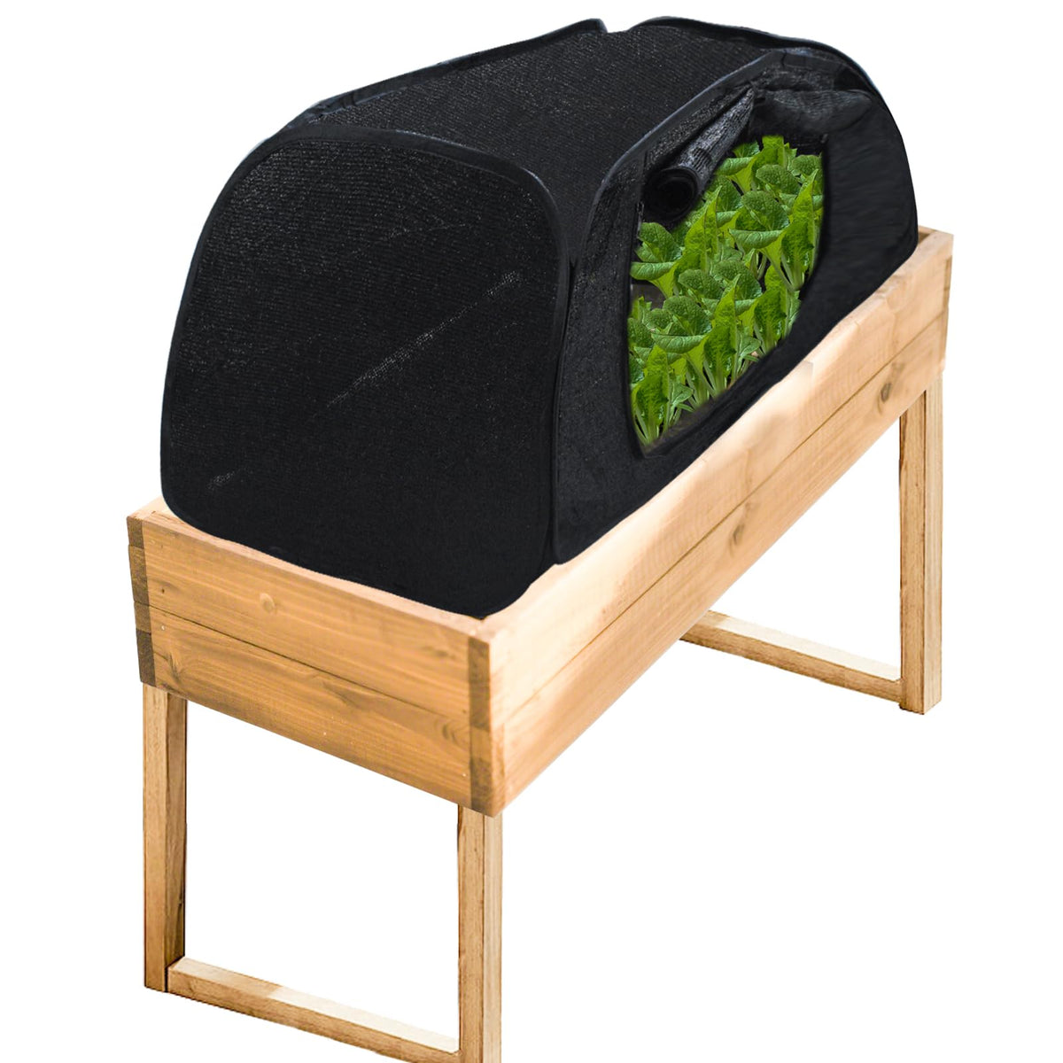 Fantang pop up sun shade over raised bed protects crops from direct sun.