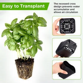 Fantasyon nursery pots with drainage holes prevent overwatering and root rot