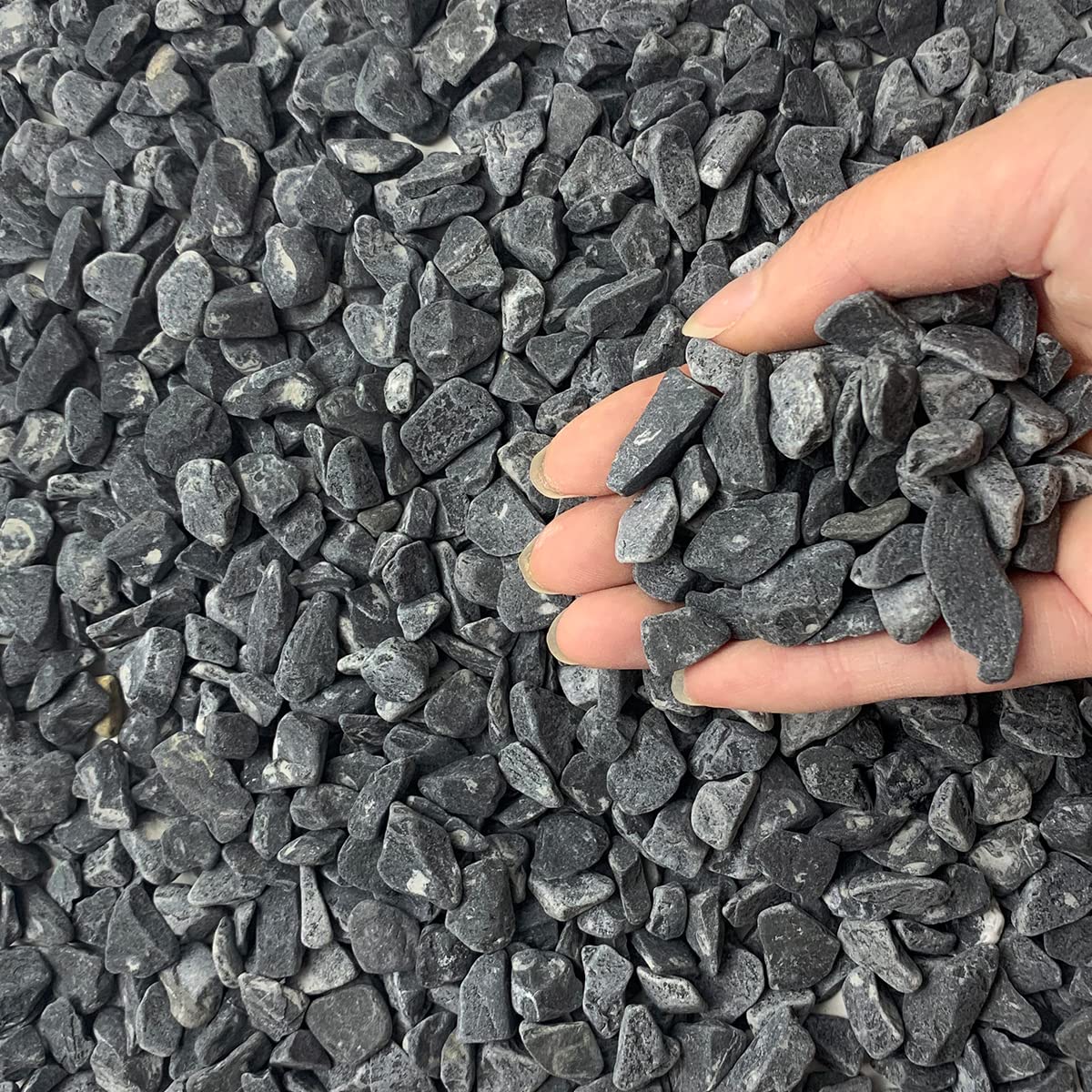 FANTIAN 10lb black pea gravel bag pour for plant display, decorative and low-maintenance.