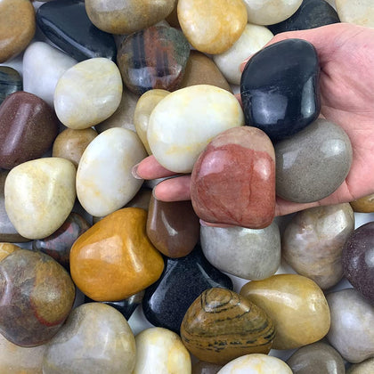 FANTIAN 10 lbs pebbles in pots add drainage and lasting color.