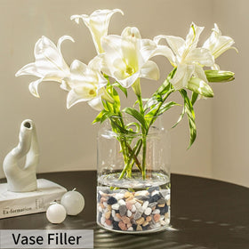 FANTIAN bamboo plant display rocks, natural tone highlights and aids moisture management