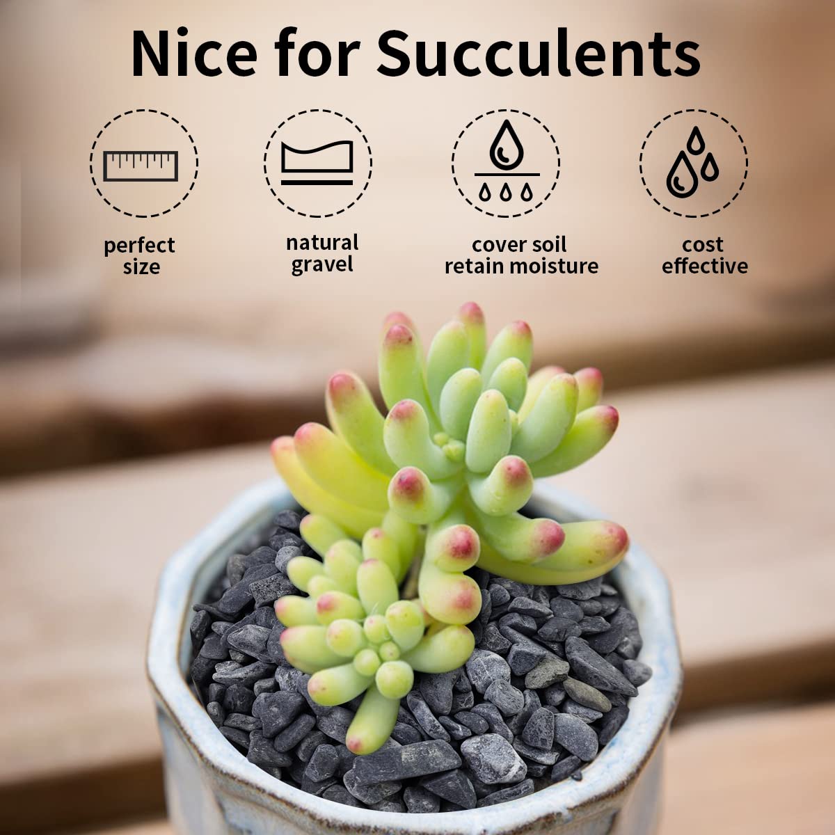 FANTIAN Black Pea Gravel accents rock gardens for visual interest.
