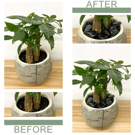 FANTIAN black pebbles for pots and aquariums, smooth edges
