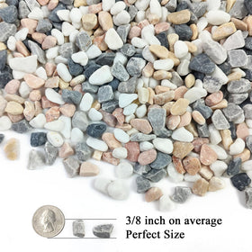 FANTIAN cactus gravel, 3/8-inch mix color, perfect for terrariums and succulent pots