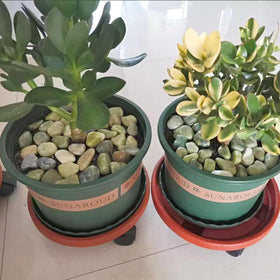 FANTIAN craft-friendly jade pebbles for decorative projects.