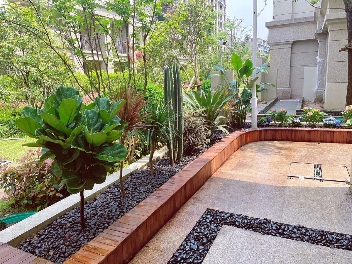 FANTIAN decorative stones for planters and vases enhance color and contrast