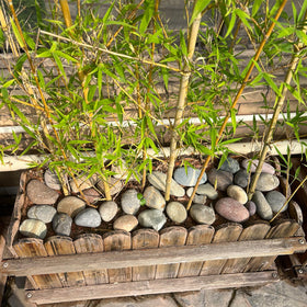 FANTIAN pond-edge stones enhance water features and edging.