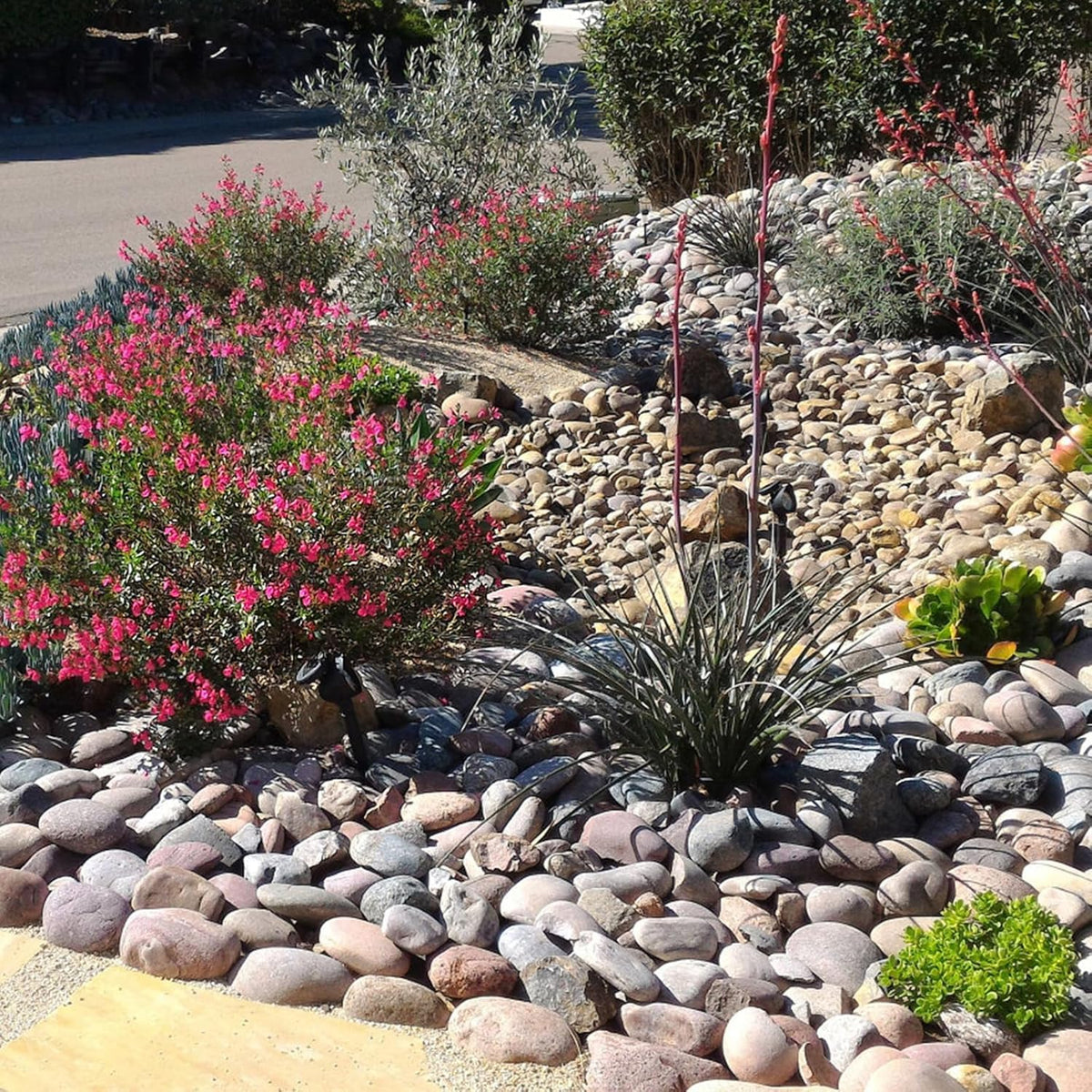 FANTIAN multi-hued stones for terrariums and artful crafts.