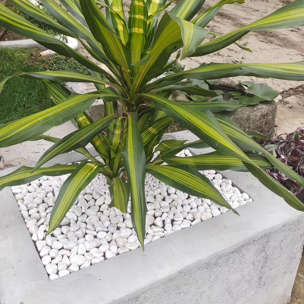 FANTIAN white stones for ponds or patio accents
