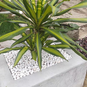 FANTIAN white stones for ponds or patio accents