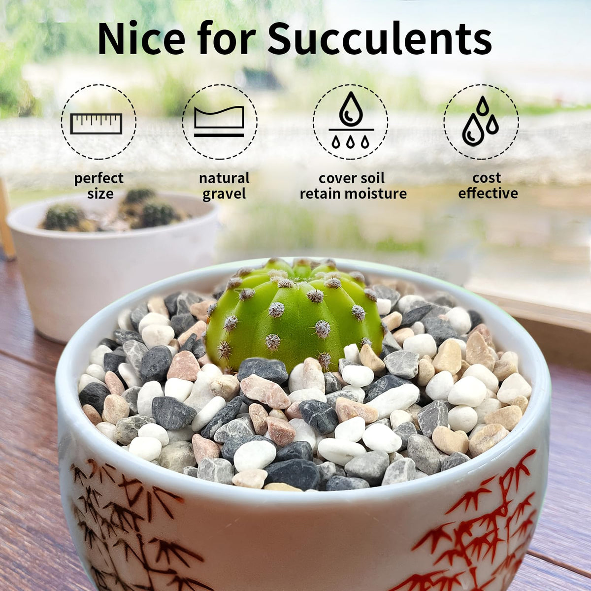 FANTIAN indoor terrarium pebbles, vibrant mix colors, stabilize soil and create mini landscapes