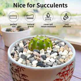 FANTIAN indoor terrarium pebbles, vibrant mix colors, stabilize soil and create mini landscapes