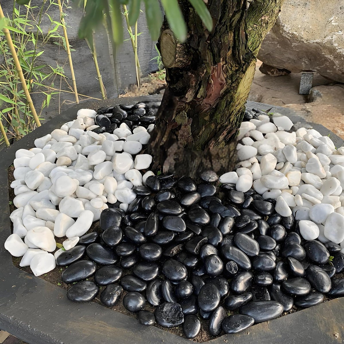 FANTIAN natural stones for DIY projects and water features add visual interest