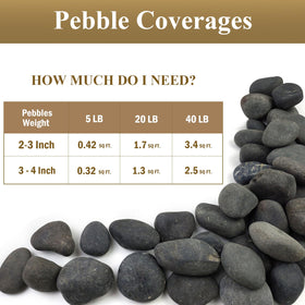 FANTIAN unpolished black rocks provide natural texture for gardens.
