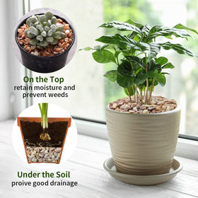 FANTIAN pea gravel outdoor landscaping provides durable ground cover