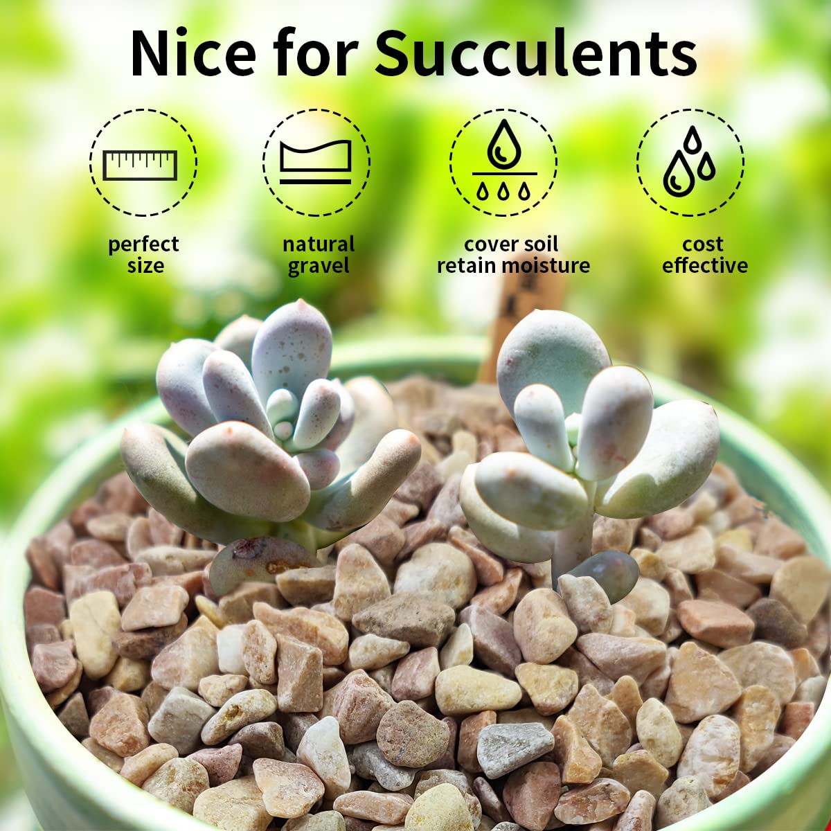 FANTIAN pea gravel terrarium stones add color and moisture control