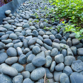 FANTIAN 20 lb stones decorate walkways and enhance curb appeal.