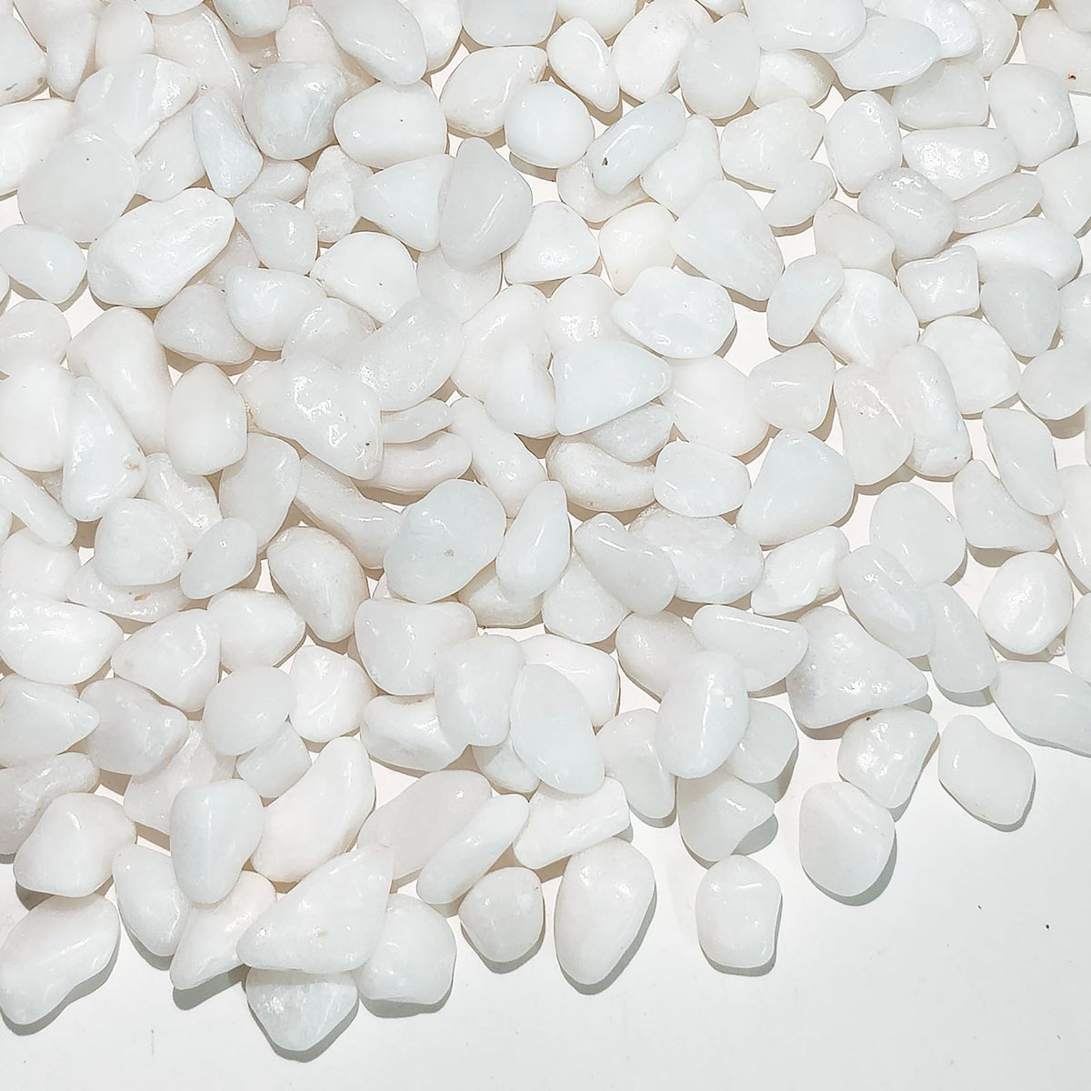 FANTIAN white pebbles 1lb, 3/8-inch, add a clean, elegant touch to planters.