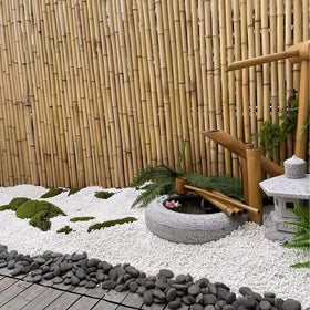 FANTIAN stones help deter gnats and keep soil tidy.