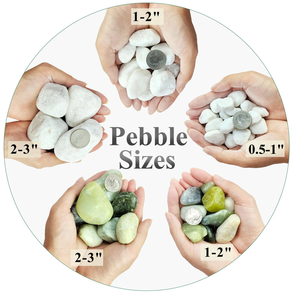 FANTIAN white pebbles for indoor plants provide clean display