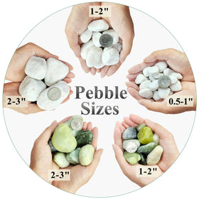 FANTIAN white pebbles for indoor plants provide clean display