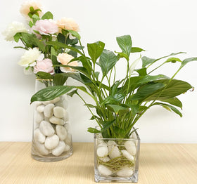 FANTIAN white stones for garden bed accents and borders.