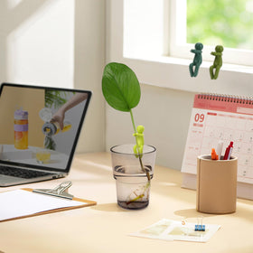 FAQUSA multicolor trio fits home or office plant setups.
