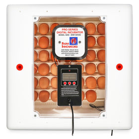 Farm Innovators 41-egg incubator front view with digital controls and heater