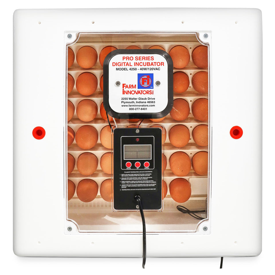 Farm Innovators 41-egg incubator front view with digital controls and heater