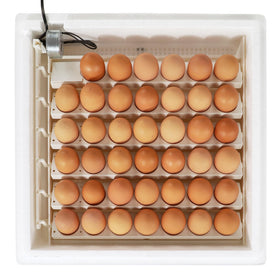Farm Innovators easy-fill water channels simplify maintenance