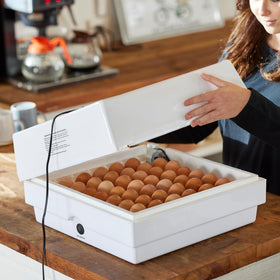 Farm Innovators egg candler included for progress checks