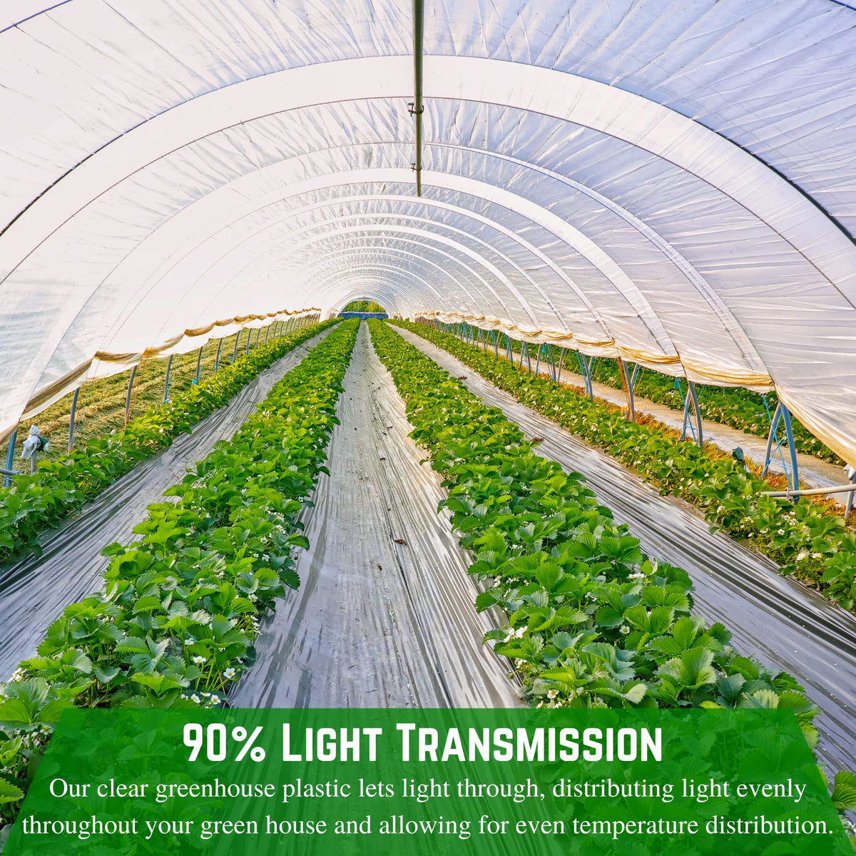 Farm Plastic Supply versatile greenhouse film for hoop houses and patch covers.