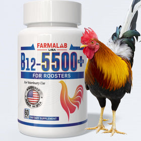 Farmalab B12 5500 Plus poultry bottle showing high-potency vitamin for healthier birds
