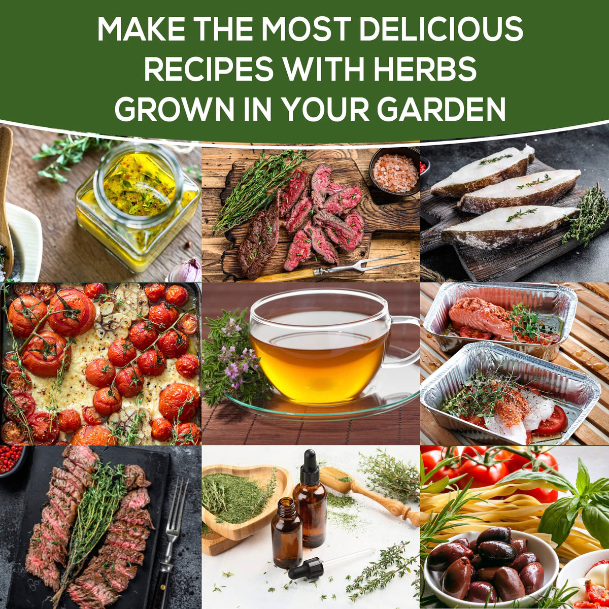 Farmervalley Thyme seeds outdoors in garden or container plots.
