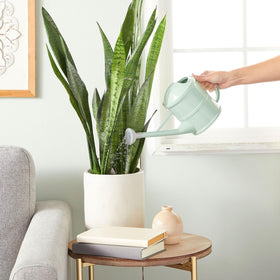 Compact Farmlyn Creek watering can design for small spaces