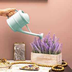 Farmlyn Creek watering can with detachable sprinkler head for flexible flow