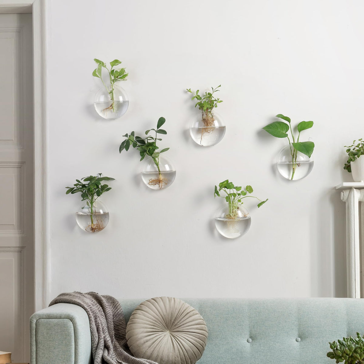 Fashionstorm clear glass vases with round opening for easy filling.