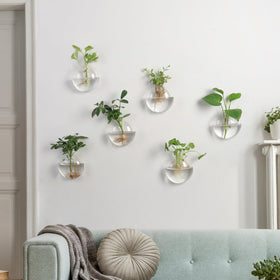 Fashionstorm clear glass vases with round opening for easy filling.