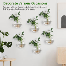 Fashionstorm diy wall garden vertical display for home décor.