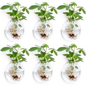 Fashionstorm wall planters 6-pack front view for space-saving indoor greenery.
