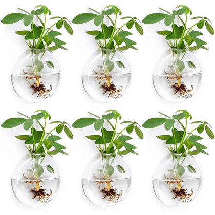 Fashionstorm wall planters 6-pack front view for space-saving indoor greenery.